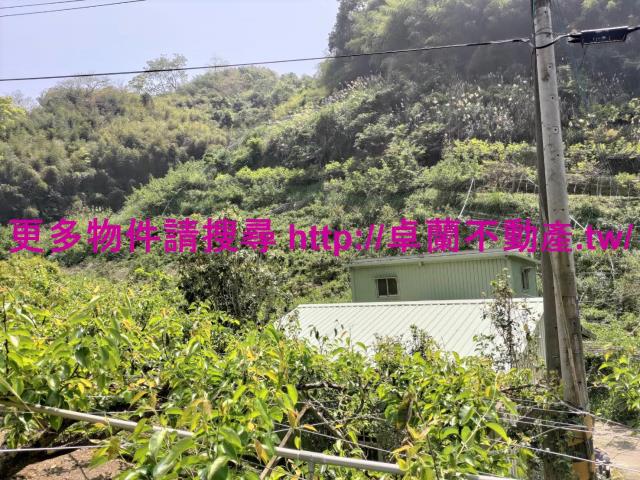 卓蘭農地-3
