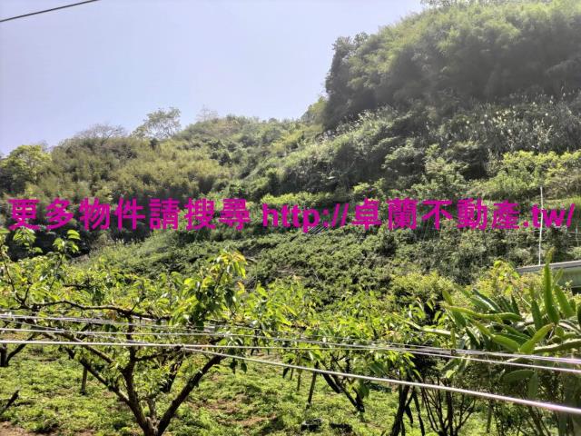 卓蘭農地-4