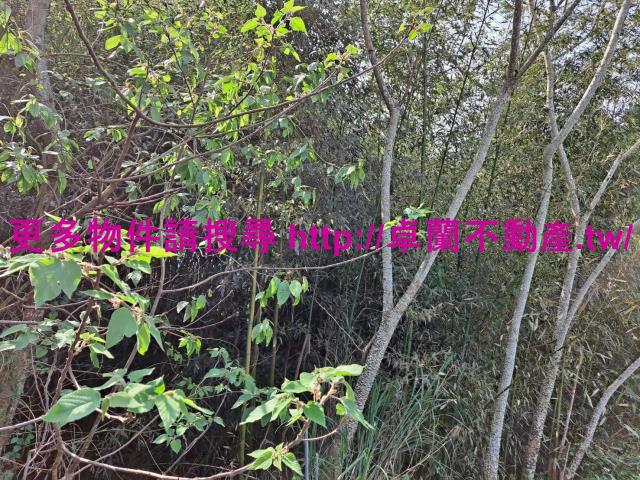 苗栗卓蘭農地-0