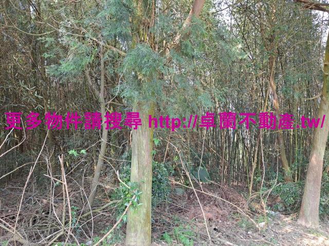 苗栗卓蘭農地-1