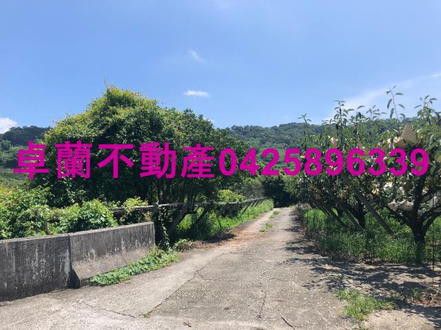 苗栗卓蘭農地-0