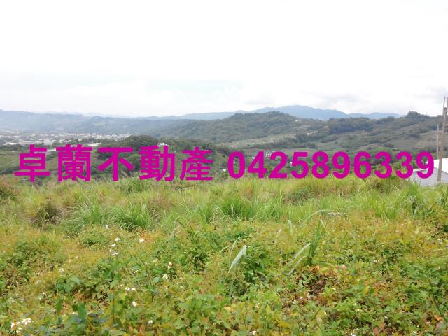 卓蘭農地-2