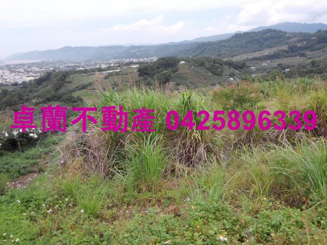 卓蘭農地-4