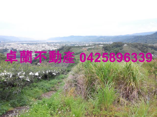 卓蘭農地-5