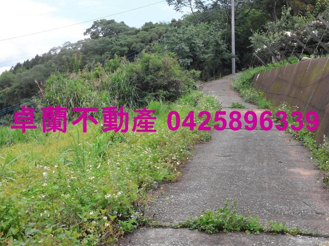 卓蘭農地-6
