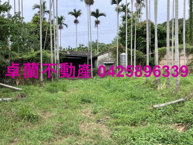 卓蘭農地-0
