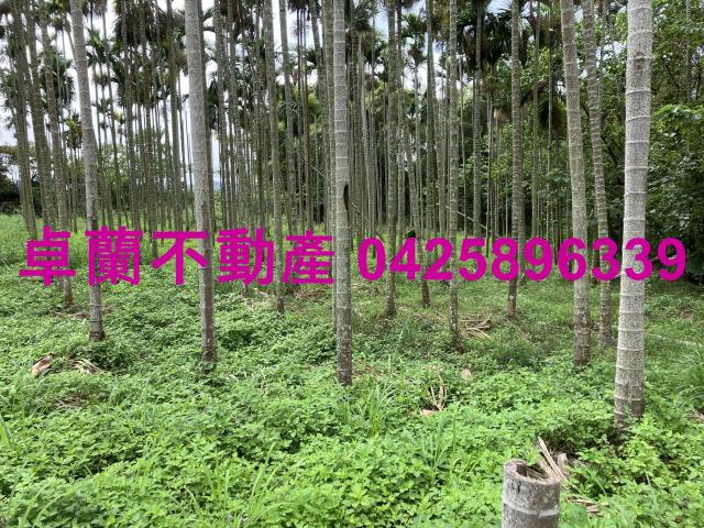 卓蘭農地-1