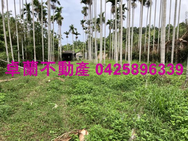 卓蘭農地-3