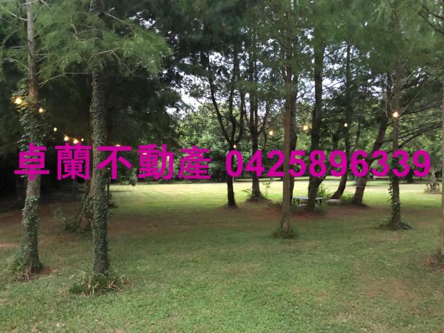 苗栗農地-8