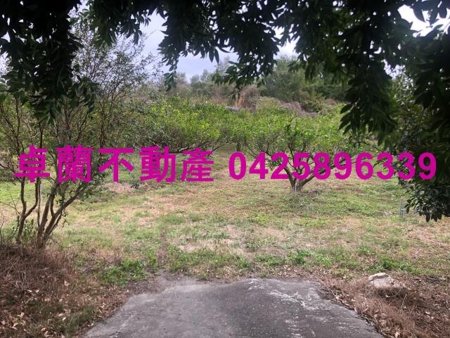 苗栗農地-1
