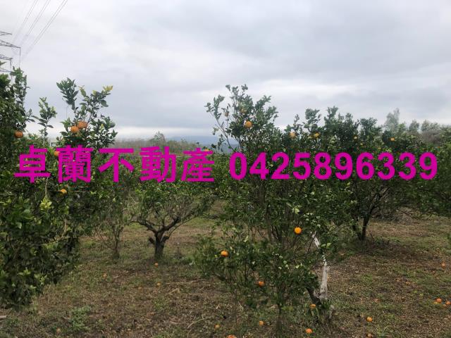 苗栗農地-1