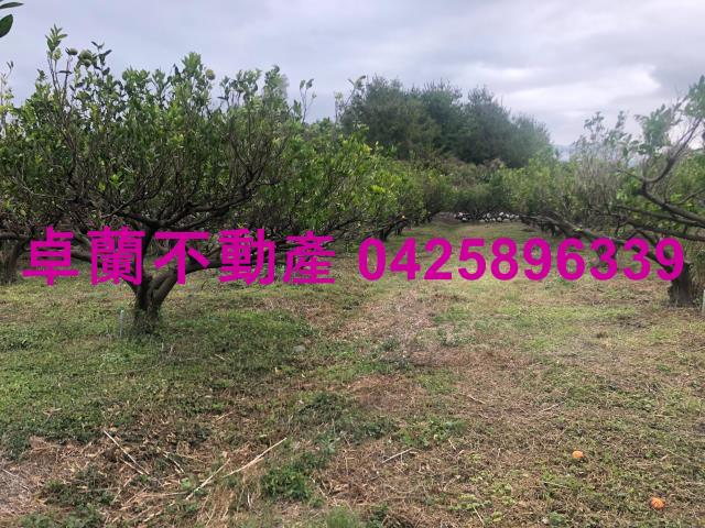 苗栗農地-3