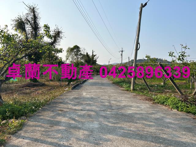 卓蘭農地-5