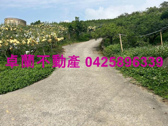 卓蘭農地-1
