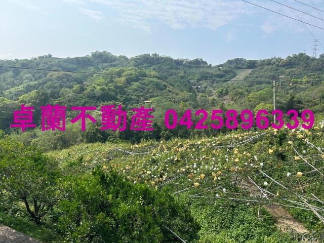 卓蘭農地-2