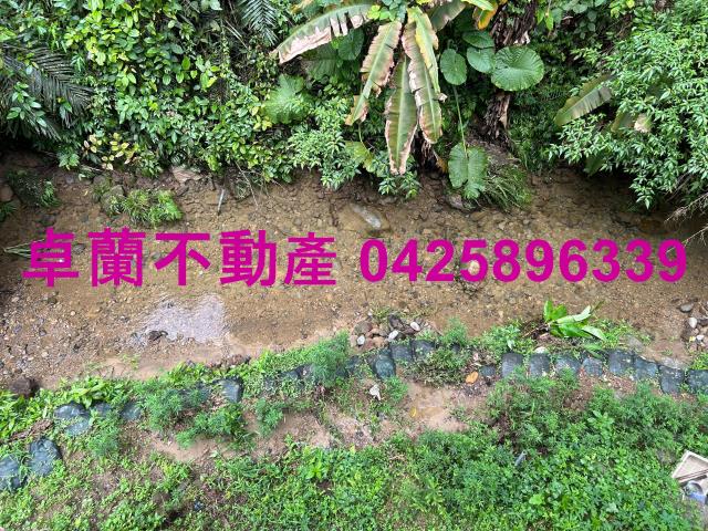 卓蘭山坡地-6