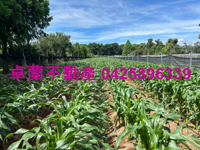 苗栗卓蘭農地-3