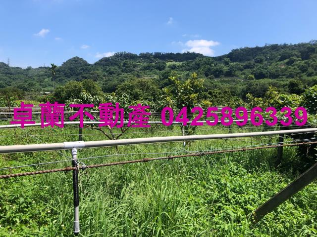 苗栗農地-2