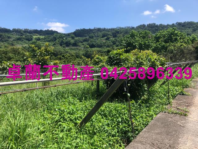 苗栗農地-3