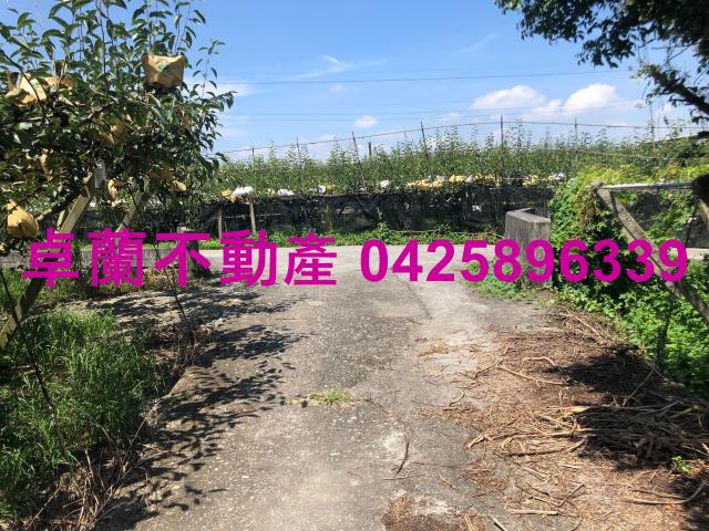 苗栗農地-4