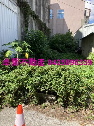 卓蘭建地-5