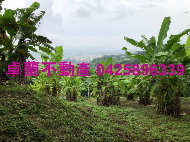 卓蘭農地-3