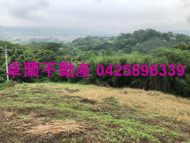 卓蘭農地-5