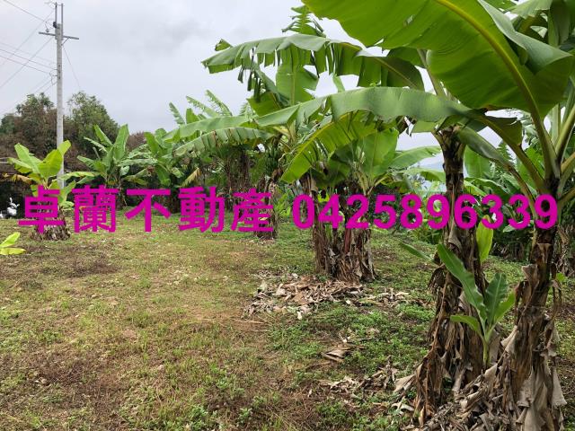 卓蘭農地-6