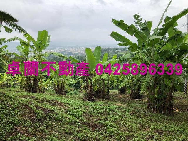 卓蘭農地-7