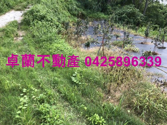苗栗農地-9