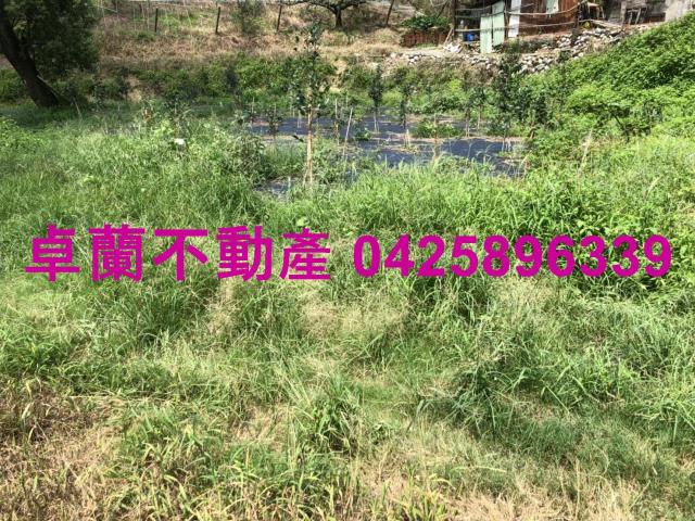 苗栗農地-10