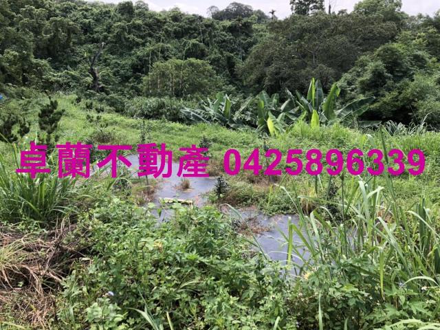 苗栗農地-11