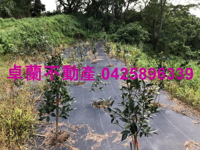 苗栗農地-12