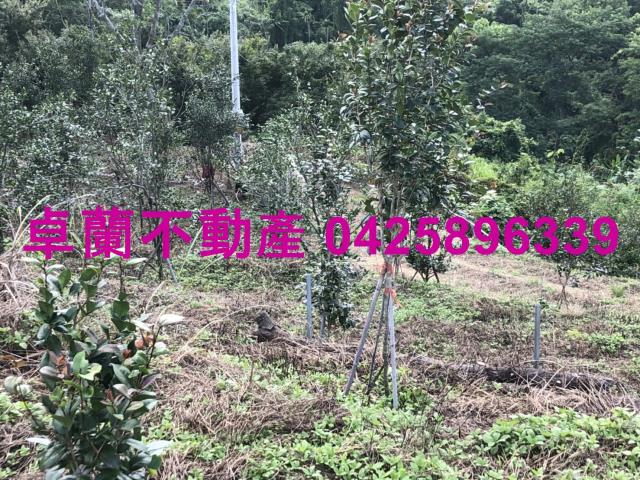 苗栗農地-4