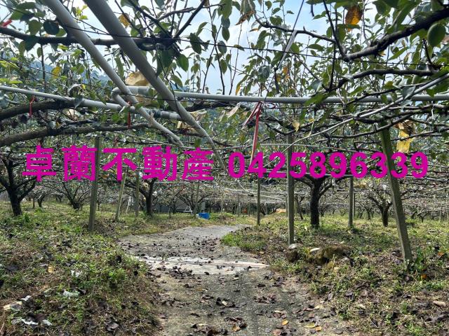 卓蘭農地-2