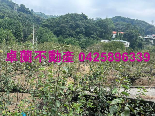 卓蘭農地-1