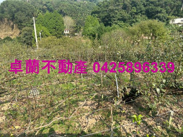 卓蘭農地-2