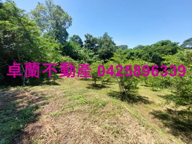 卓蘭農地-0