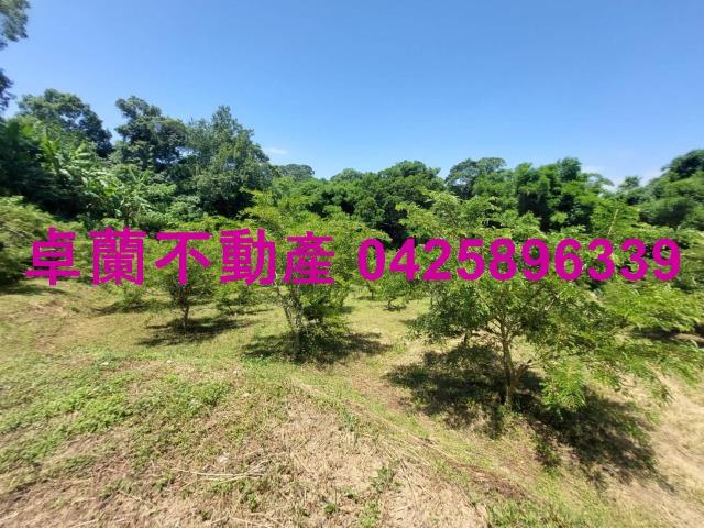 卓蘭農地-1