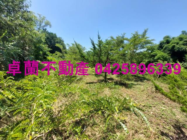 卓蘭農地-3