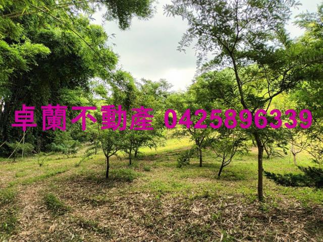 卓蘭農地-5