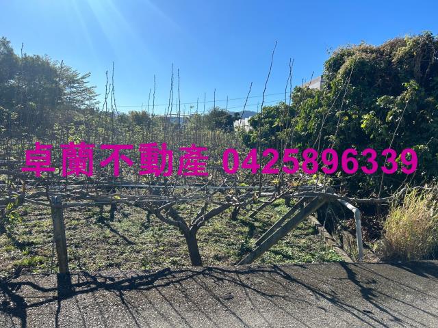 卓蘭農地-1
