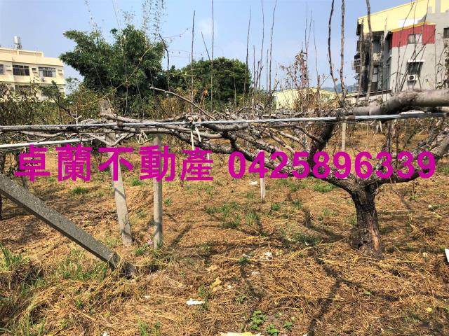 卓蘭農地-4