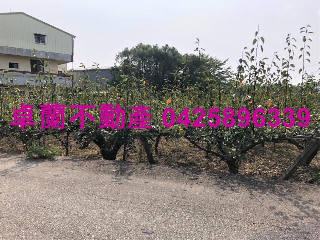 卓蘭農地-5