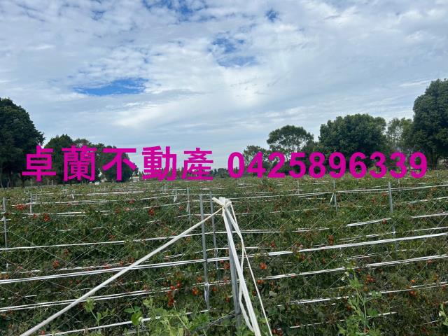 苗栗農地-0
