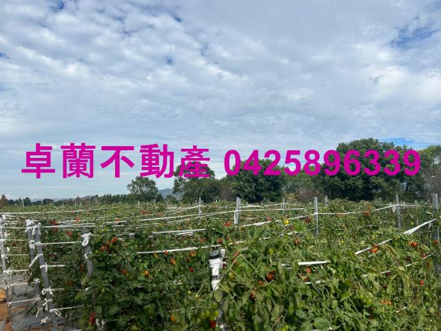 苗栗農地-5