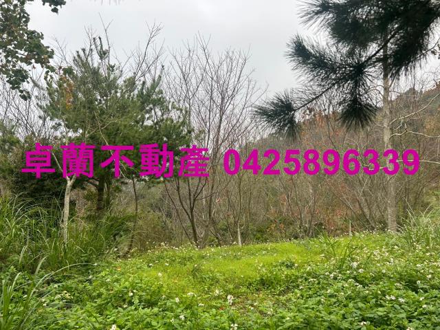 苗栗農地-1