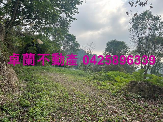 苗栗農地-5
