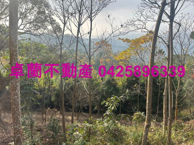 大湖山坡地-10