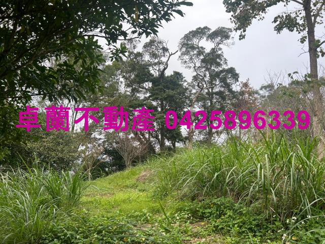 大湖山坡地-2